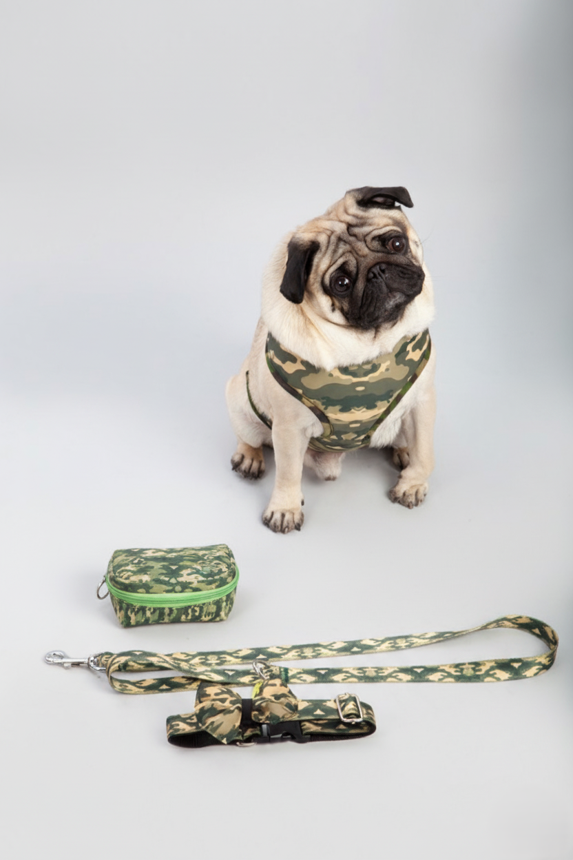 Dog Collars, Harnesses & Leashes