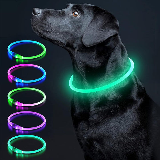 LED Dog Collar USB Rechargeable | Glow Safety Light for Dogs