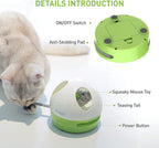 Hidey Mouse Electronic Interactive Cat Toy, Hide Mouse Cat Toy with Squeaky Mouse, Automatic Cat Toys with Catnip Filled Hidey Mouse, Cat Toys Interactive for Indoor Cats Play (Green)