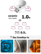 Cat Bowl anti Vomiting, Raised Food Bowls, Tilted Elevated Bowl, Ceramic Pet Food Bowl for Flat Faced Cats, Small Dogs, Protect Pet'S Spine, Dishwasher Safe (5 Inches, White)