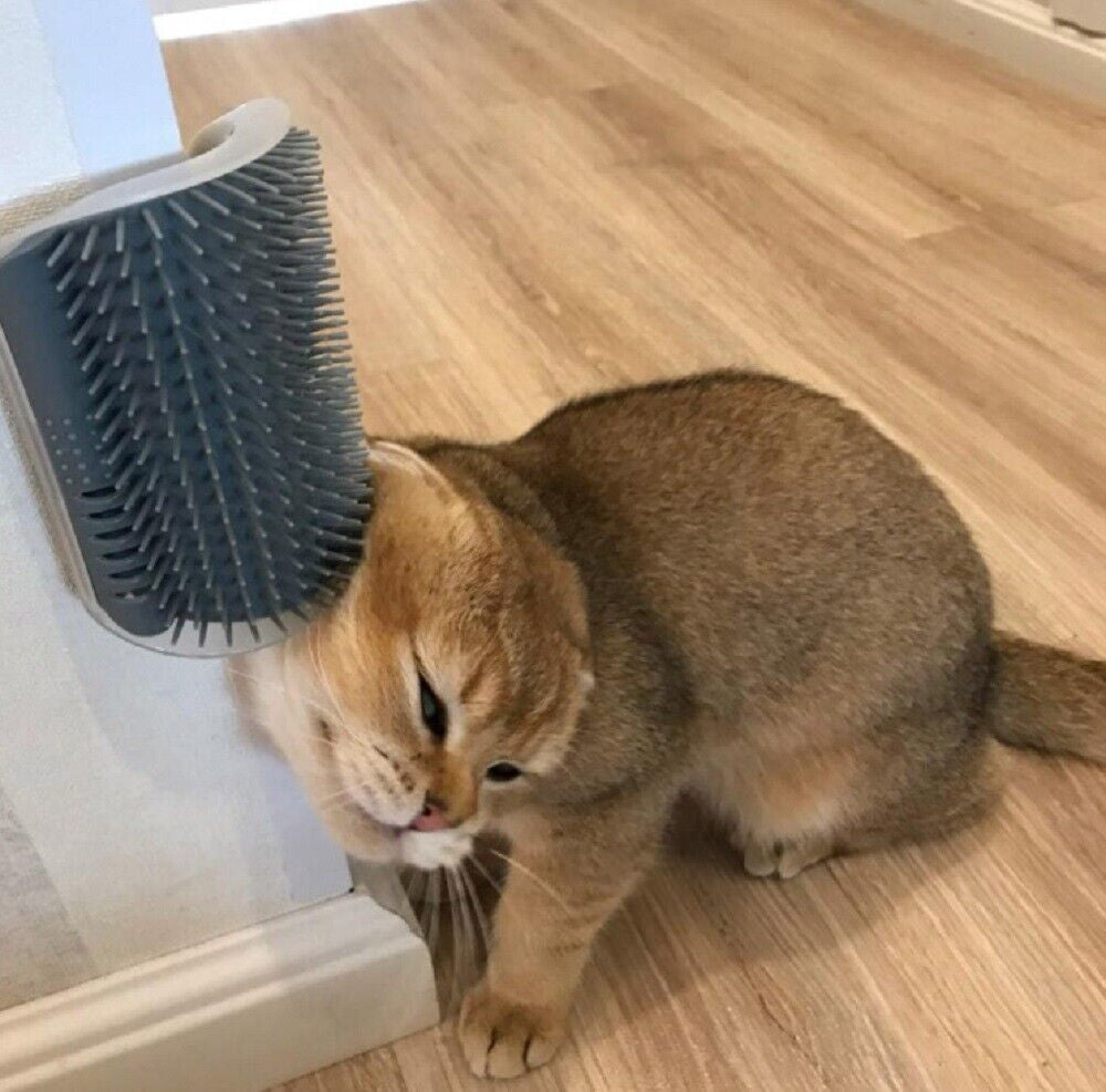 Cat Self-Groomer Brush – Wall Corner Face Scratcher & Massage Comb Tool